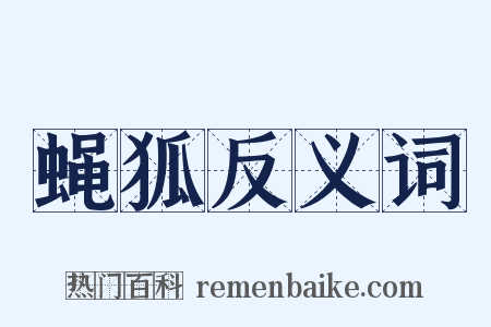 蝇狐反义词是什么意思的图片